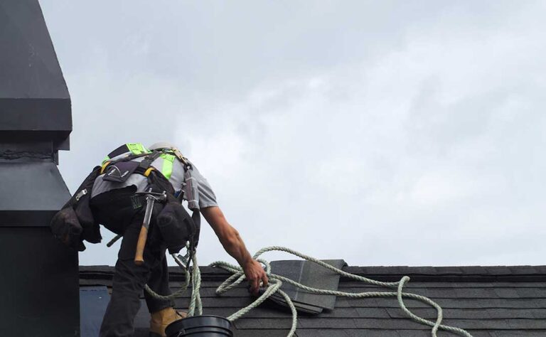 A close-up of dark-stained shingles with moss and algae growth after damp weather.